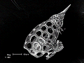 sem (01)_thumb.png