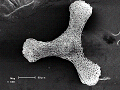sem (02)_thumb.png