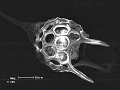 sem (10)_thumb.png