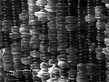 sem (27)_thumb.png