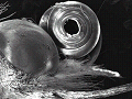 sem (29)_thumb.png