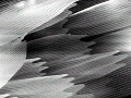 sem (30)_thumb.png