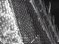 sem (33)_thumb.png