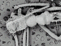 sem (35)_thumb.png
