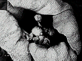 sem (39)_thumb.png