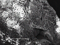 sem (50)_thumb.png