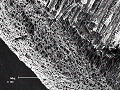 sem (51)_thumb.png