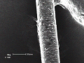 sem (53)_thumb.png