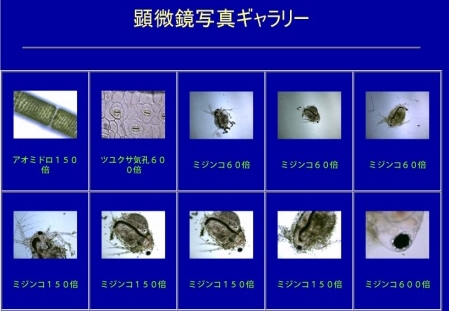 �������M�������[