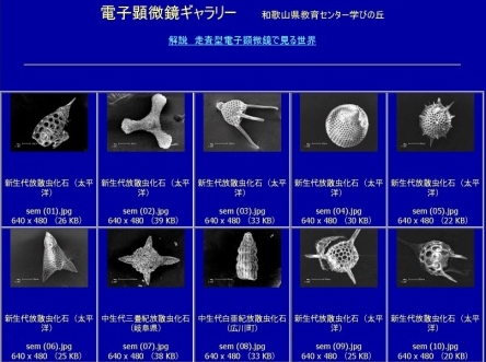 �d�q�������M�������[